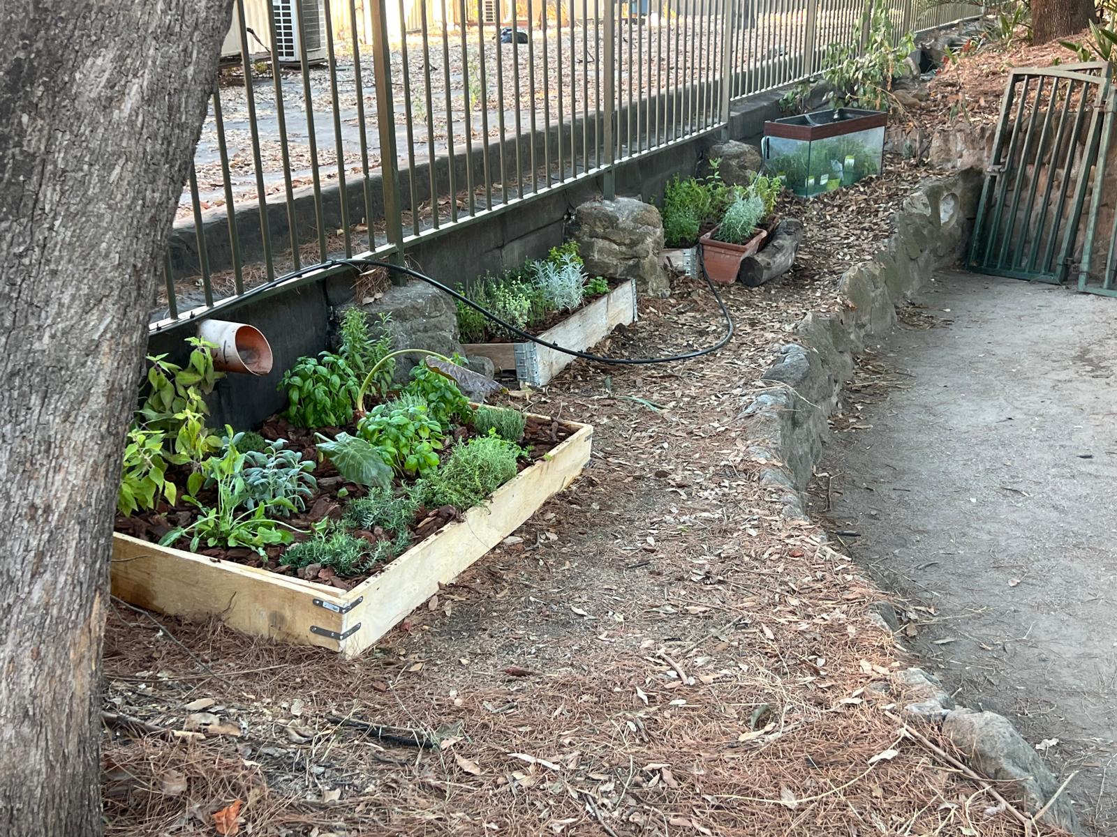 Le aiuole aromatiche di Villa Mercede a San Lorenzo